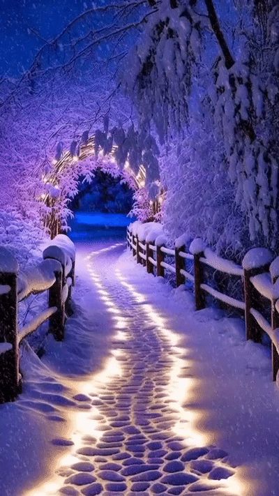 Winter Scenery Beautiful, Snow Magic, Winter Gif, Winter Wonderland Wallpaper, Beautiful Winter Pictures, Winter Christmas Scenes, Happy Winter Solstice, Beautiful Winter Scenes, Winter Images