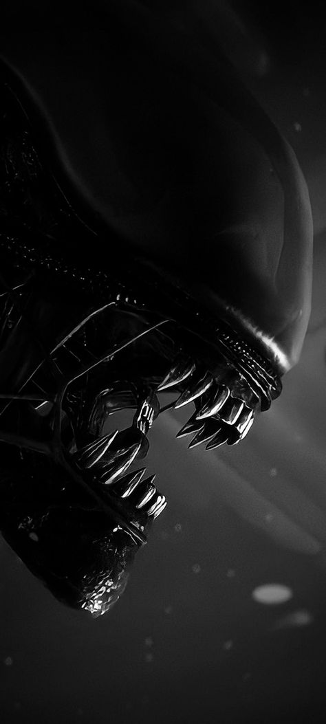 Alien Wallpaper Xenomorph, Xenomorph Background, Xenomorph Wallpaper Iphone, Alien Isolation Xenomorph, Alien Romulus Wallpaper, Alien Movie Wallpaper, Alien Xenomorph Art, Xenomorph Wallpaper, Amanda Ripley