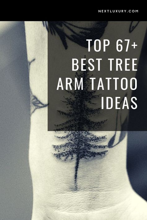 Tattoo Trees Arm, Guiding Light Tattoo, 3 Trees Tattoo, Mens Nature Tattoo Sleeve, Tree Tattoos For Women Arm, Tree Wrist Tattoo, Inner Arm Tattoos For Women Bicep, Forearm Tree Tattoo, Tree Arm Tattoo