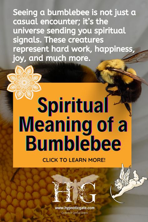 Spiritual Meaning of a Bumblebee Bumblebee Spirit Animal, Bumblebee Spiritual Meaning, Bumble Bee Spiritual Meaning, Work Happiness, Spiritual Signs, Jennifer Anderson, Spiritual Figures, Inner Confidence, Animal Spirit Guides