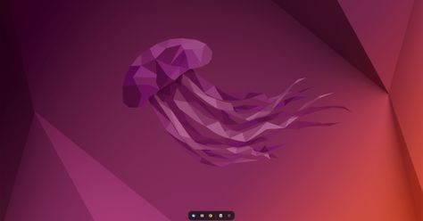 20+ Interesting Facts About Ubuntu Bird Facts, Linux Kernel, Windows 95, Windows 98, Android Studio, Mind Blowing Facts, Computer Internet, Stock Wallpaper, Windows Xp