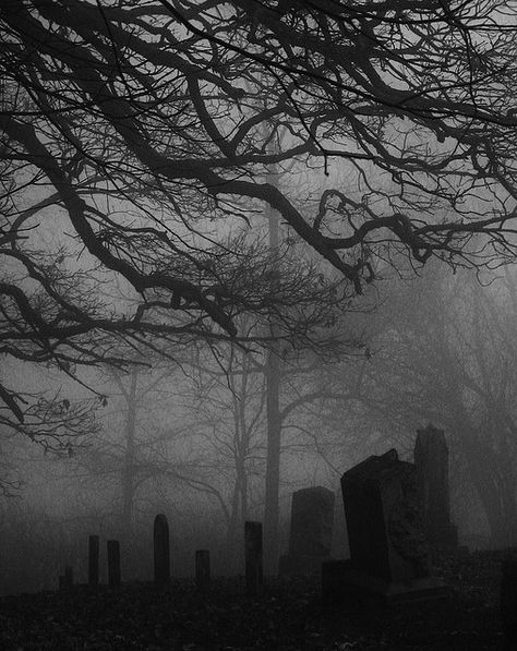 Eerie by Tibby76 Old Cemeteries, Dark Paradise, 다크 판타지, Gothic Aesthetic, Dark Gothic, Goth Aesthetic, The Fog, Dark Photography, Gothic Art