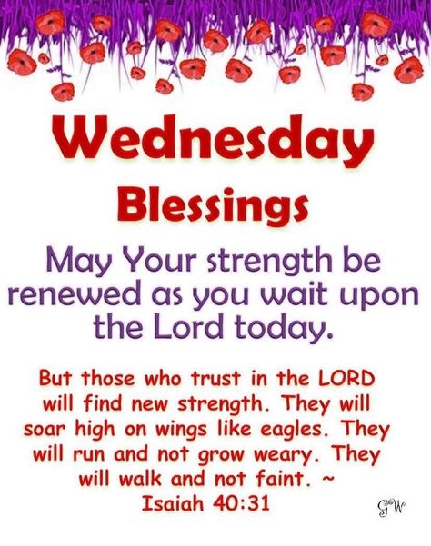 Morning Quotes Friday, Quotes Wednesday, Wednesday Morning Greetings, Wednesday Prayer, Quotes Friday, Wednesday Morning Quotes, Blessed Morning Quotes, Friday Inspirational Quotes, Wednesday Greetings