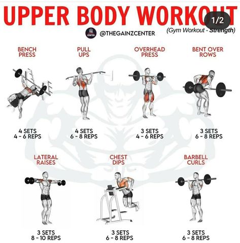 Upper Body Workout Men, Beginner Workout For Men, Women Full Body Workout, Upper Body Workout Gym, Boxer Workout, Back Workout Men, Full Upper Body Workout, Body Sculpting Workouts, Bicep And Tricep Workout