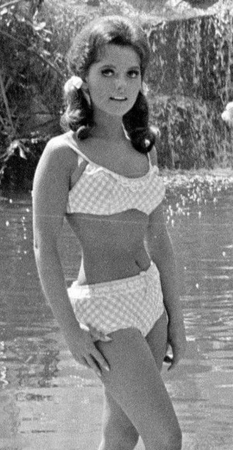 Dawn Wells Dawn Wells Mary Ann, Mary Ann And Ginger, Dawn Wells, Gilligan’s Island, Tina Louise, Old Hollywood Stars, Classic Actresses, Hollywood Legends, Mary Ann