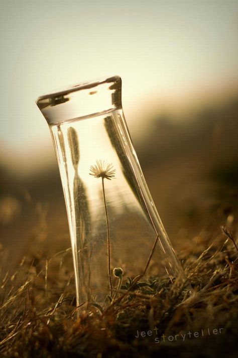 Scale Photography Ideas, Objects In Photography, Form Photography Ideas, Simple Photography Objects, Photography Ideas Creative Objects, Translucent Photography Ideas, Small Objects Photography, Objects Out Of Place Photography, Out Of The Ordinary Photography