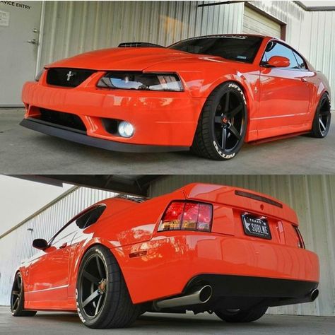 2003 Mustang, Sn95 Mustang, New Edge Mustang, Sports Cars Mustang, 2000 Ford Mustang, Modern Muscle Cars, Fox Body Mustang, Ford Mustang Cobra, 2004 Ford Mustang