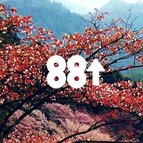 88rising Album Cover, 88rising Aesthetic, 88 Rising, Me And The Boys, The Proclaimers, Belle And Sebastian, Arcade Fire, Smashing Pumpkins, Double Happiness