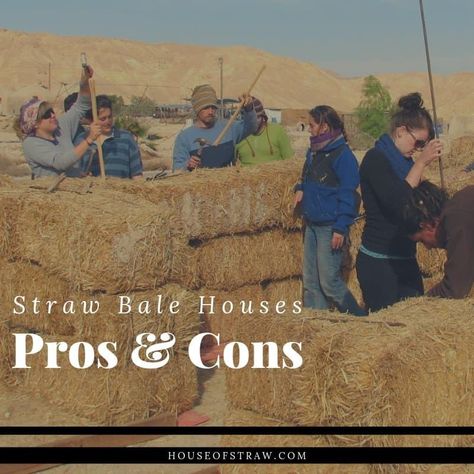 Hay Bale House Building, Straw Bale House Interior, Strawbale Construction, Straw Bale House Plans, Cobb Homes, Shell Cottage, Strawbale House, House On Slope, Straw Bale Building