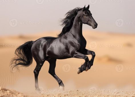 AI generated Black horse runs in the desert Horse In Desert, Horse Running, Tree Saw, Cityscape Photos, Black Horse, Logo Banners, Nature Backgrounds, In The Desert, Heart With Arrow