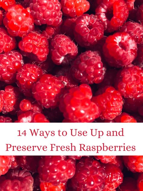 14 Ways to Use Up and Preserve Fresh Raspberries - One Hundred Dollars a Month Ways To Preserve Raspberries, What Can I Do With Fresh Raspberries, How To Preserve Raspberries, Canning Raspberries Recipes, Recipes For Fresh Raspberries, What To Do With Fresh Raspberries, What To Make With Fresh Raspberries, Fresh Raspberries Recipes, Preserving Raspberries