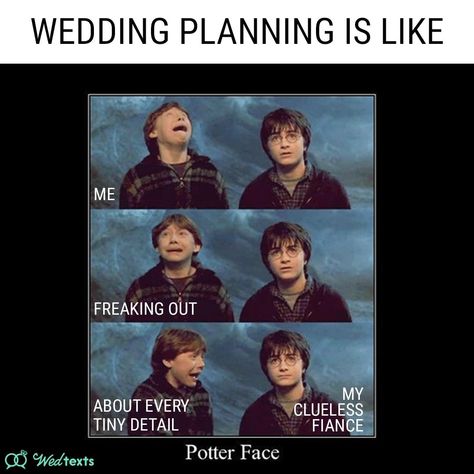 Is your wedding planning a team effort or do you make most of the decisions? #weddingmemes #wedtexts #weddingplanning Wedding Meme, Team Effort, Clueless, Weeding, A Team, Texts, Wedding Planning, How To Plan, Memes