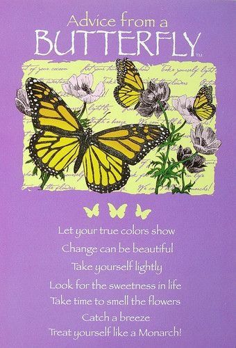 Butterfly Inspiration, Animal Spirit Guides, Butterfly Quotes, Garden Quotes, Advice Quotes, True Nature, Nature Quotes, A Butterfly, Good Thoughts