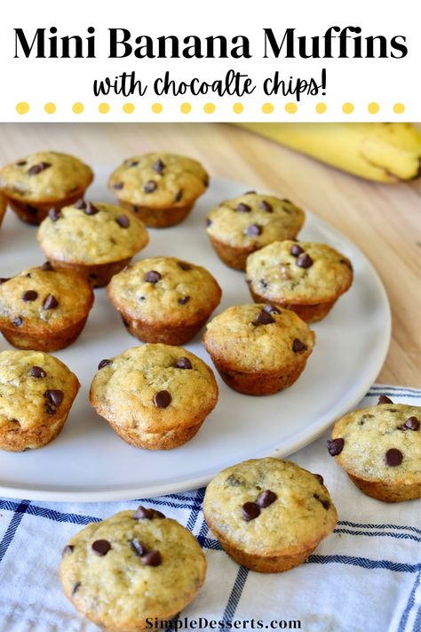 Mini Banana Chocolate Chip Muffins for are a fun and delicious treat! Bursting with the sweet goodness of ripe bananas and a hint of vanilla, these bite-sized treats are the perfect way to use up those overripe bananas sitting on your counter. Banana Chocolate Chip Muffins Easy, Mini Banana Chocolate Chip Muffins, Banana Chocolate Chip Mini Muffins, Muffins Easy Recipe, Cinnamon Chip Muffins, Banana Chip Muffins, Banana Choc Chip Muffins, Chocolate Chip Muffins Easy, Mini Muffin Recipe