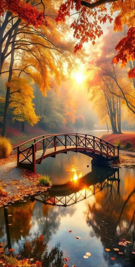 Nature Good Morning, Sunrise Wallpaper, Autumn Leaves Art, Lost In Time, Good Morning All, Fall Background, Trending Pins, Autumn Scenes, Autumn Scenery