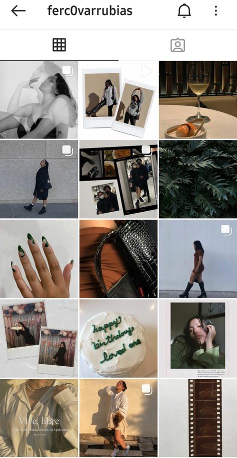 Vintage Ig Feed, Instagram Feed Organizer, Instagram Feed Goals, Basic Aesthetic, Vintage Photo Editing, Polaroid Photography, Instagram Feed Layout, Instagram Theme Feed, Feed Ig