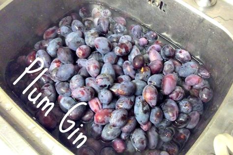 Wild plum gin with recipe Diy Liquors, Gin Infusions, Plum Gin, Gin Making, Preserving Fruit, Food For Fall, Flavored Liquor, Damson Plum, Fruit Diy