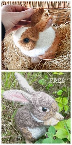 Rabbit Knitting Pattern Free, Baby Knitting Patterns Free Newborn, Comfort Dolls, Amigurumi Easter, Rabbit Knitting Pattern, Knitted Bunnies, Bunny Knitting Pattern, Knitted Stuffed Animals, Knitted Bunny