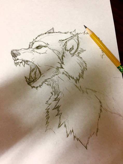 Werewolf Sketch Wolf Artwork Draw, Werewolf Tattoos, Werewolf Sketch, Drawing Suggestions, Dessin Game Of Thrones, Practice Sketches, Lup Singuratic, Werewolf Drawing, Wolf Sketch