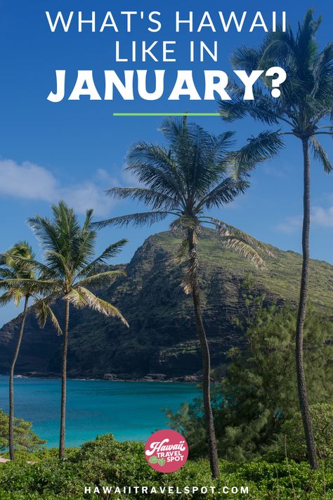 Escape to the tropical paradise of Hawaii this January! Discover the warm weather, beautiful beaches, and exciting activities that await you. Plan your dream vacation with our guide to the best things to see and do in Hawaii during the winter season. Get all your questions answered about whether or not it's worth visiting Hawaii in January from a Hawaii travel expert! Hawaii In January, Hawaii In February, Visiting Hawaii, Hawaii Cruise, Hawaii Trip Planning, Hawaii Things To Do, Trip To Hawaii, Hawaii Trip, Visit Hawaii