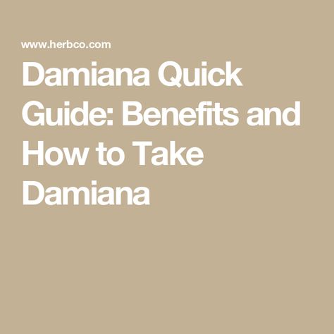 Damiana Quick Guide: Benefits and How to Take Damiana Damiana Benefits For Women, Damiana Leaf Benefits, Damiana Tea Benefits, Damiana Magical Properties, Damiana Benefits, Damiana Herb, Damiana Tea, Chinese Medicinal Herbs, Medicinal Herbs Remedies