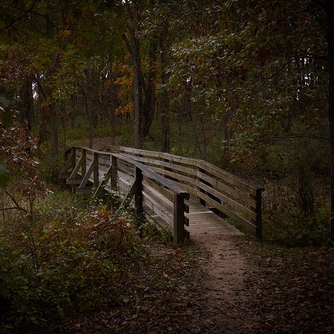 Forest Bridge We're crossing the final bridge in my 6-part "small bridge" series. I hope you've enjoyed it. If so, leave a comment!   Everyone knows that it goes River > Creek > Stream > Brook > Crick. Unless you are one of those poor souls who says a crick is a creek, in which case I don’t know what to do with you. Anyhow, the State of Illinois built a bridge over a crick so people wouldn’t get their Timberlands muddy.  https://chriseaves.com/2019/03/13/crick-crossing/ Bridges Over Creeks, Wooden Bridge Over Creek, Bridge Over Creek, Bridge In Forest, Bridge In The Woods, Aesthetic Bridge, Grimes Genesis, Bridge Aesthetic, Forest Bridge