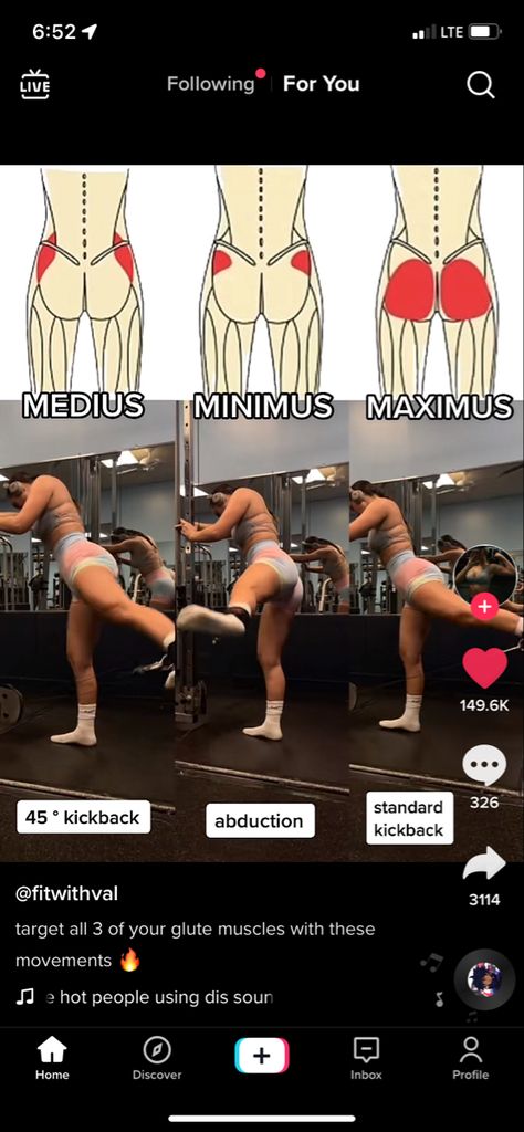 Workouts For Glute Medius, Gluteus Exercises Gym, Workout For Gluteus Medius, Gluteus Muscles Anatomy, Workout Upper Glutes, Glutes Anatomy Muscle, Glute Maximus Workout Target, Exercises For Gluteus Maximus, Kickback Workout Exercise