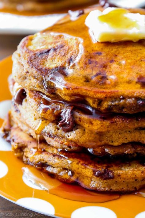 Pumpkin Chocolate Chip Pancakes | Sally's Baking Addiction Pumpkin Chocolate Chip Pancakes, Pumpkin Waffles Recipe, Chocolate Chip Pancakes Recipe, Pumpkin Breakfast Recipes, Pumpkin Pancake Recipe, Pumpkin Waffles, Pumpkin Chocolate Chip, Chocolate Chip Pancakes, Pumpkin Pancakes