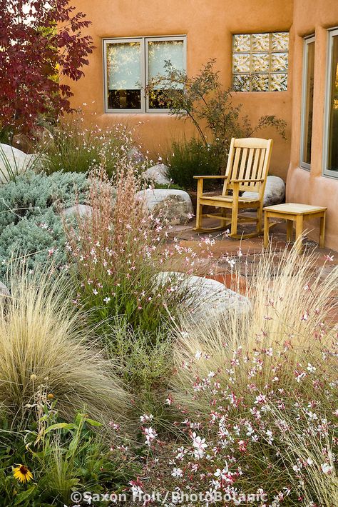 Rocking chair on New Mexico xeriscape patio garden with perennial Gaura lindheimeri and Threadgrass (Nassella tenuissima) Xeriscape Front Yard, Xeriscape Landscaping, Landscape Gardening, Drought Tolerant Landscape, Cottage Garden Design, Easy Landscaping, Desert Garden, Native Garden, Traditional Landscape