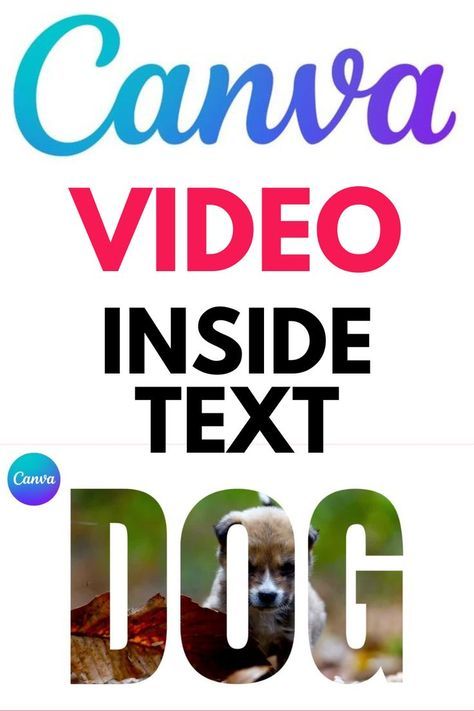 how to place video inside the text in canva Place Video, Pinterest Graphics, Trendy Fonts, Teacher Tech, Canvas Learning, Marketing Graphics, Life Hacks Computer, Free Stuff By Mail, Computer Basics