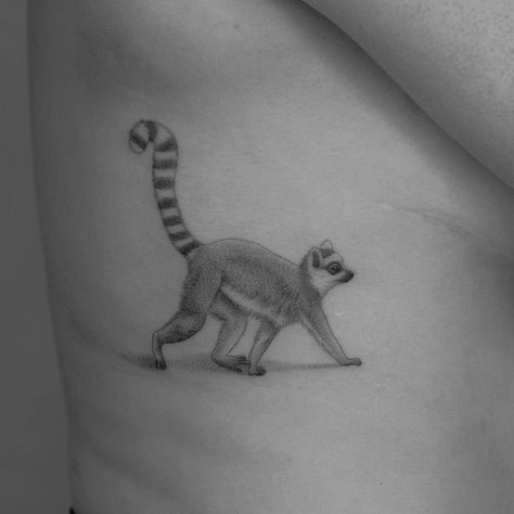 Lemur Tattoo Simple, Animal Shoulder Tattoo, Lemur Tattoo, Brave Animals, Australia Tattoo, Jungle Tattoo, Random Tattoos, 2023 Tattoo, Wildlife Tattoo