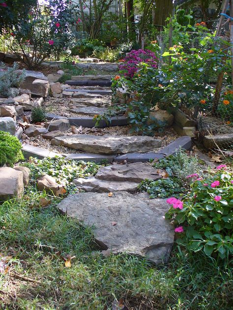 I Needed Lovely Water Drainage Control for a Sloped Yard Yard Drainage, Building Raised Garden Beds, Sloped Yard, Sloped Backyard, Building A Raised Garden, Stone Path, Pallet Garden, Dry Creek, Backyard Garden Design