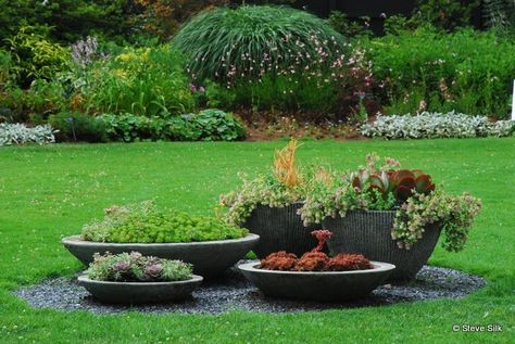 Idea to hide septic covers? Septic Mound Landscaping, Mound Septic System, Septic Tank Covers, Fossa Séptica, Cement Leaves, Septic System, Drain Cover, Septic Tank, The Ranch