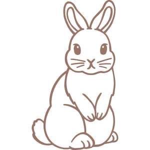 Drawing Ideas Easy Bunny, Rabbit Drawing Easy, Easy Bunny Drawing, Draw Bunny, Bunny Drawings, Rabbit Drawing, 타이포그래피 포스터 디자인, Bunny Drawing, Rabbit Art