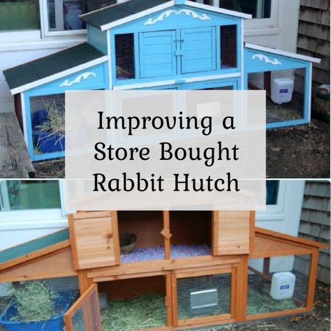 Improving a store bought rabbit hutch Large Rabbit Hutch Outdoor, Rabbit Hutch Ideas, Rabbit Yard, Rabbit Hutch Outdoor, Farm Goals, Rabbit Hutch Plans, Outdoor Ramp, Diy Rabbit Hutch, Outdoor Rabbit