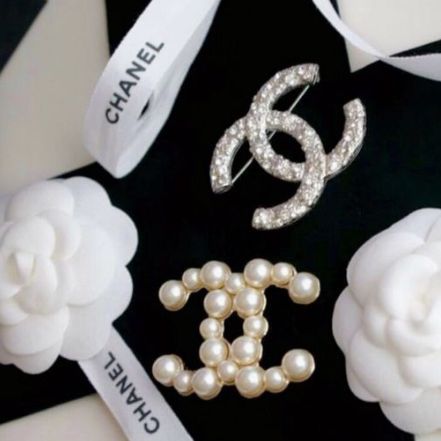 Chanel Brooches for Bouclé jackets and dresses Chanel Pin, Broche Chanel, Girl Wishlist, Chanel Pins, Camellia Flowers, Chanel Brooch, Chanel Camellia, Chanel Couture, Chanel Accessories