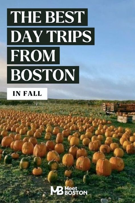 Fall Day Trips From Boston, Boston Fall Itinerary, Fall In Boston, Fall Boston, Boston In The Fall, Boston Fall, Day Trips From Boston, Fall In New England, Fall Foliage Road Trips