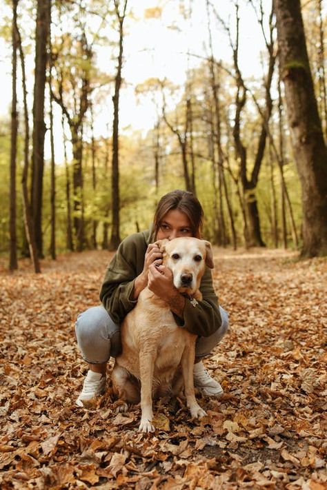 Dog Photoshoot, Fall Dog, Hiking Dogs, Fall Hiking, Unusual Animals, Fall Photoshoot, Best Seasons, Shooting Photo, Fall Pictures