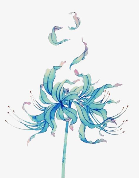 Spiderlili Drawing, Spider Lily Drawing, Flor Tattoo, Lilies Drawing, Tattoo Mini, Red Spider Lily, Blue Png, Anime Galaxy, Lily Tattoo