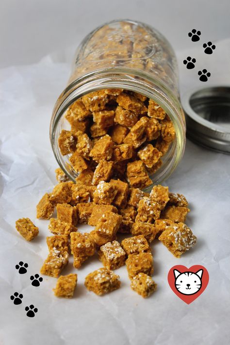 Diy Cat Treats Recipes, Homemade Cat Treats, Homemade Cat Treats Recipes, Diy Cat Treats, Pet Bakery, Kitty Treats, Treat Business, Homemade Pet Treats, Katt Grejer