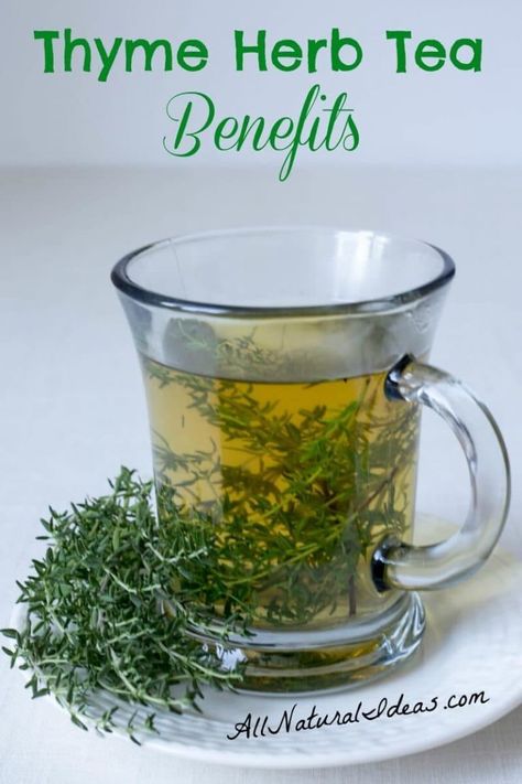 The thyme herb tea benefits have been known for ages. Drinking this magical tea may provide relief for many ailments. Make the switch from coffee! | allnaturalideas.com Herbs Medicine, Magical Tea, Thyme Tea, Thyme Herb, Tomato Nutrition, Calendula Benefits, Matcha Benefits, Lemon Benefits, Coconut Health Benefits