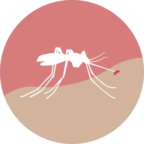 The World Health Organization has labeled the Zika virus and its link to complications in newborns as an international health emergency. Zika Virus, Digital Storytelling, World Health Organization, Usa Today, Biology, Storytelling, Disease, Science, Health