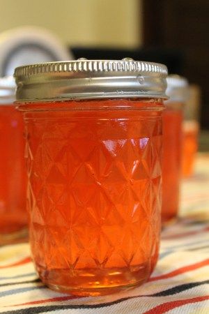 Grapefruit Jelly Recipe, Cactus Jelly, Grapefruit Jelly, Grapefruit Jam, Prickly Pear Jelly, Fruit Butters, Grapefruit Recipes, Flower Jelly, Jam Recipes Homemade