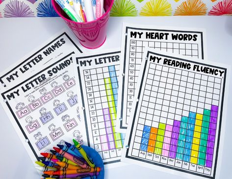 Using Student Data Binders to Track Student Growth Data — Sweet Firstie Fun Student Data Binders, Student Data Tracking, Data Binders, Behavior Plans, Homeschool Preschool Curriculum, Student Growth, Data Tracking, Classroom Routines, Teacher Conferences