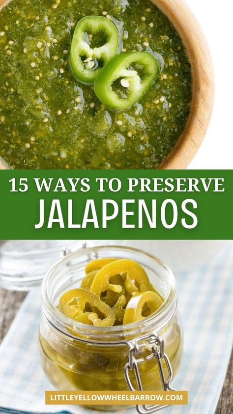 Extra Jalapenos, Canning Jalapenos, Preserving Jalapenos, Grow Jalapenos, Preserving Peppers, Pickled Jalapeno Recipe, Canning Jalapeno Peppers, Garden Canning, Canning Peppers