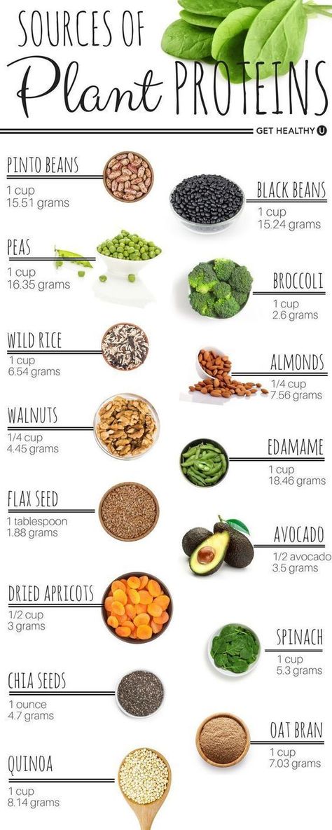 Protein can be found in both animal and plant-based sources! Check out the best plant-based sources of protein and find out how much you really need. #protein #plantbaseddiet #gethealthyu Resep Vegan, Plant Proteins, Healthy Beans, Good Eat, Diet Vegetarian, Think Food, Plant Based Eating, Plant Protein, Vegan Foods