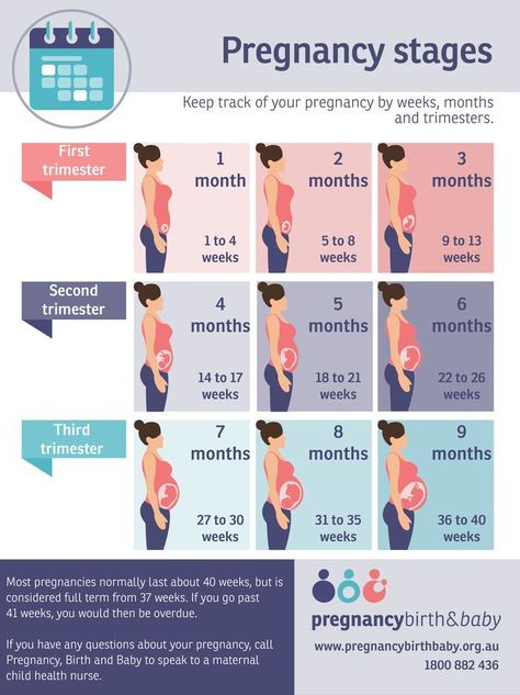 Pregnancy Chart, 5 Weeks Pregnant, Pregnancy Timeline, Stages Of Pregnancy, Pregnancy First Trimester, Pregnancy Info, Pregnancy Guide, Baby Life Hacks, Pregnancy Information