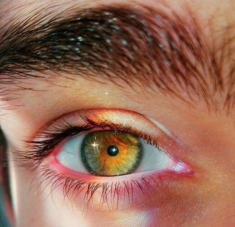 Eyes Aesthetics, Yellow Orange Flowers, Sky Rainbow, Hazel Green Eyes, Eye Facts, Beautiful Eyes Color, Face Drawing Reference, Credit Tips, Most Beautiful Eyes