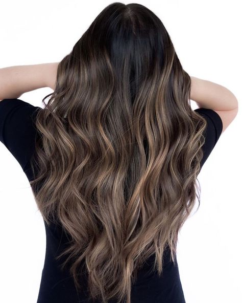 Black Hair with Creamy Hazelnut Highlights Hazelnut Highlights, Balayage On Black Hair, Black Hair Ideas, Dark Brown Hair Dye, Ash Balayage, Stylish Hair Colors, Gray Balayage, Black Hair Balayage, Straight Black Hair