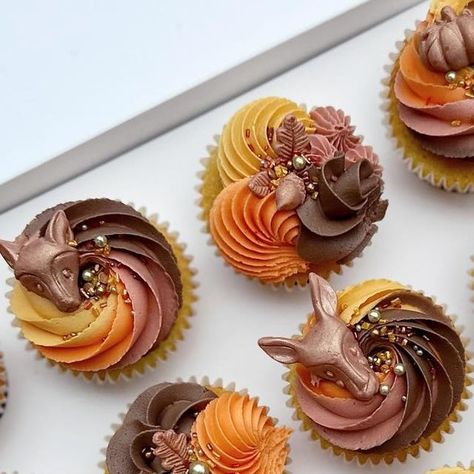 Autumnal Cupcakes, Acorn Cupcakes, Autumn Cupcakes, Decorated Cupcakes, Fall Cupcakes, Orange Chocolate, Floral Cupcakes, Cupcake Designs, Cupcake Boxes